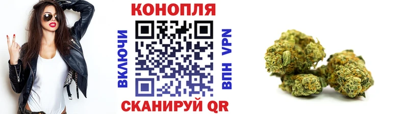 купить наркотик  Людиново  Бошки марихуана план 